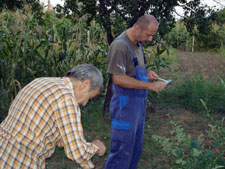 Faragják a nyársakat Faragják a nyársakat